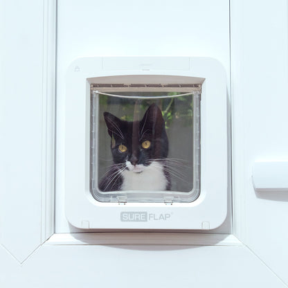 SureFlap Microchip Pet Door Connect with Hub – White Medium Cat & Small Dog