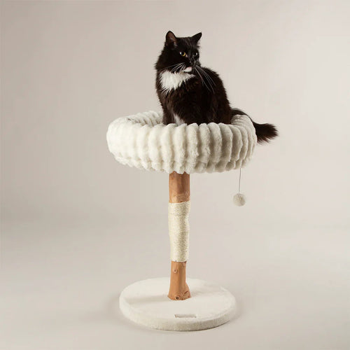 Scruffs Alpine Appalachians Cat Tree
