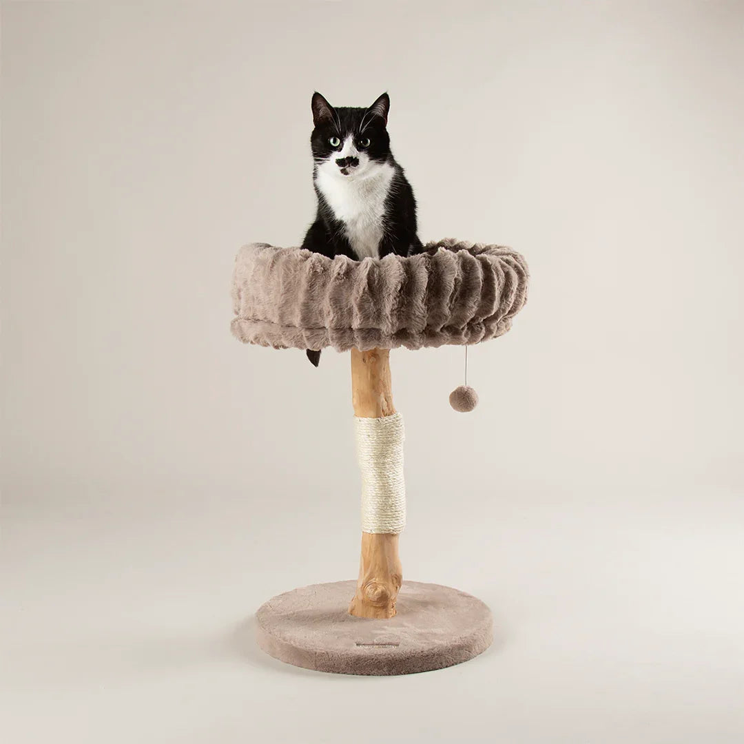 Scruffs Alpine Appalachians Cat Tree