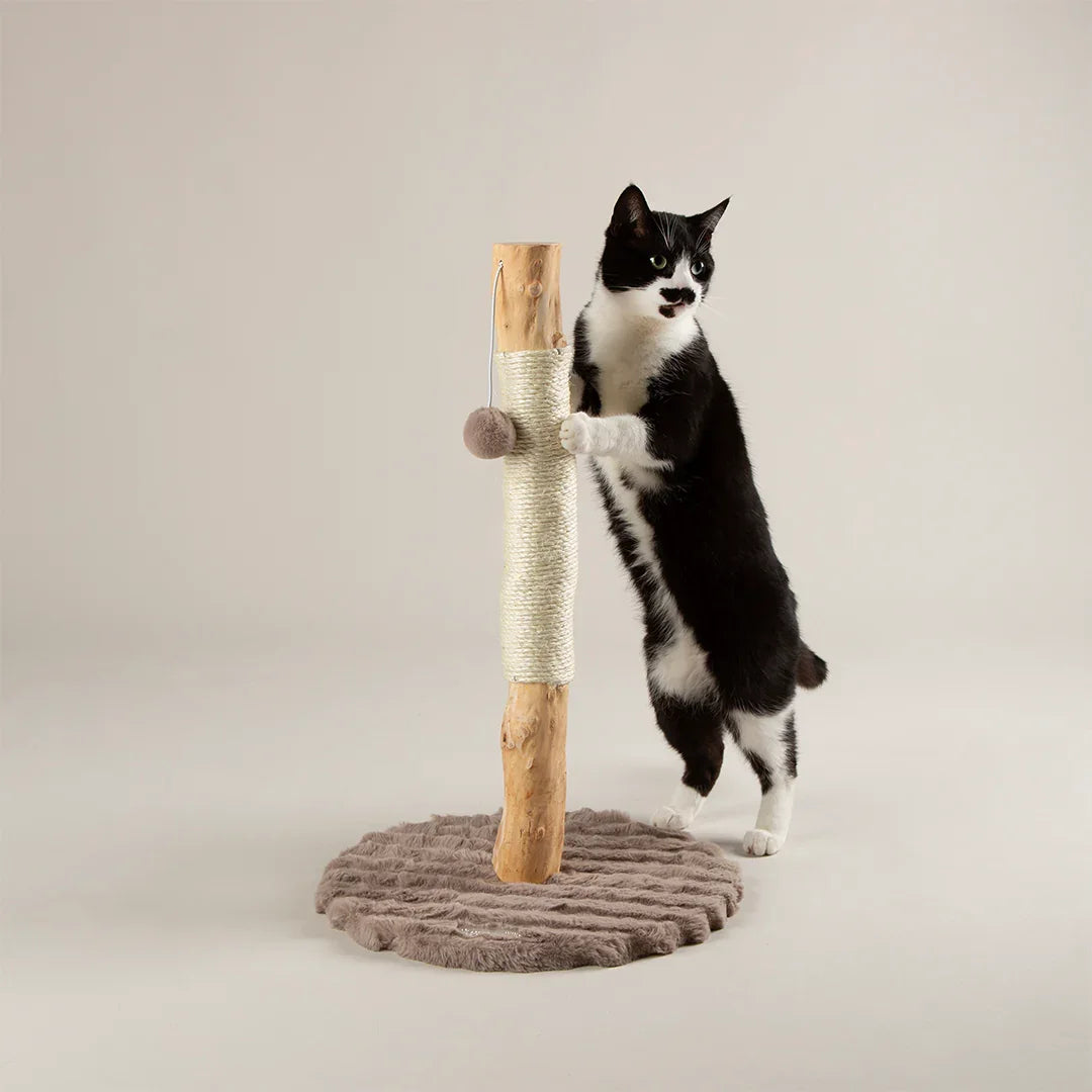 Scruffs Alpine Rockies Cat Scratching Post